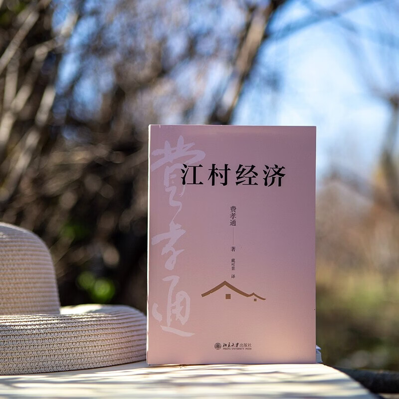 Jiangcun Economy Companion to Fei Xiaotong’s Sociology Classic Rural China The Life of Chinese Peasants