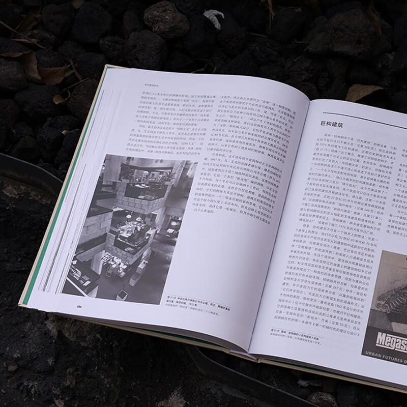 The New History of Modern Architecture, with more than 500 architectural examples and nearly 700 architectural photos and drawings, reviews the development of modern architecture and helps you understand the modern urban landscape.