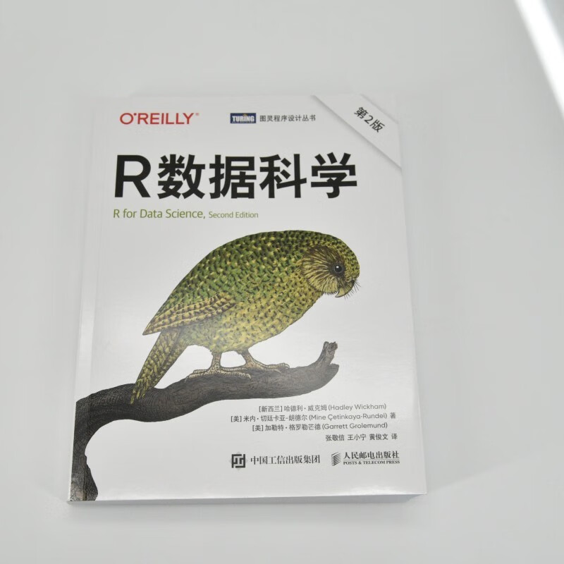 R Data Science (2nd Edition) The Definitive Guide to R Data Visualization Processing and Analysis An Introduction to Data Statistical Models for Data Scientists Produced by Turing