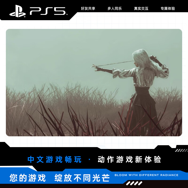 Sony (SONY) Sony PS5 Game Disc Light and Shadow Expedition 33 Hong Kong Version Chinese TGA Best of 2025