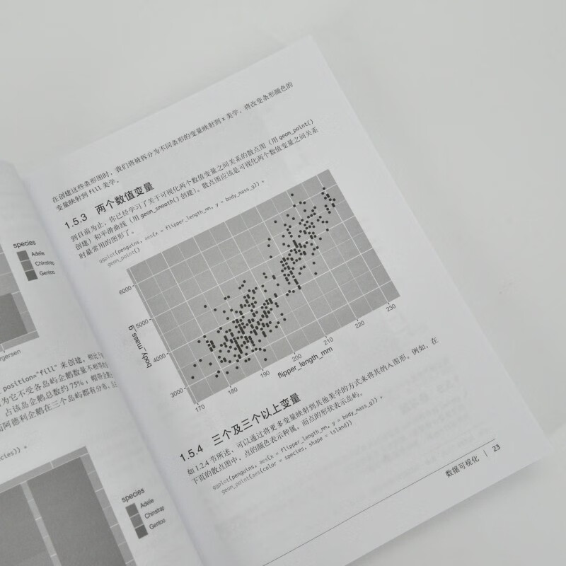 R Data Science (2nd Edition) The Definitive Guide to R Data Visualization Processing and Analysis An Introduction to Data Statistical Models for Data Scientists Produced by Turing