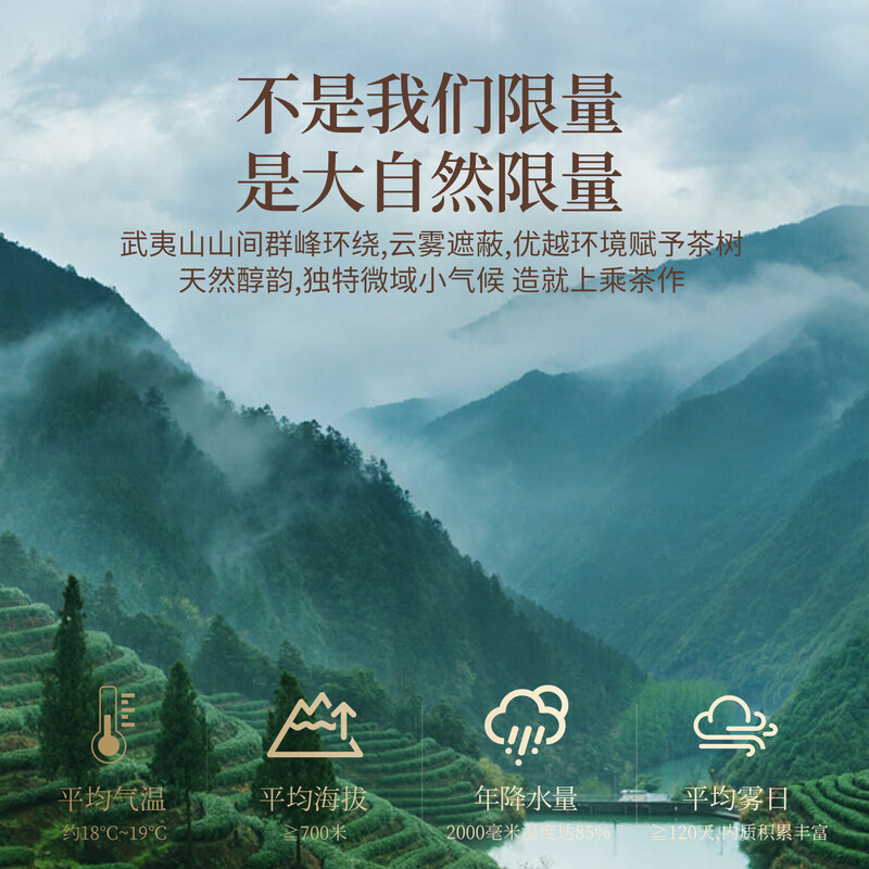 Wuyi Pu Oolong Tea Special Dahongpao 510g Rock Tea Gift Box New Year's Gift Gift is the 2025 New Tea for yourself to drink