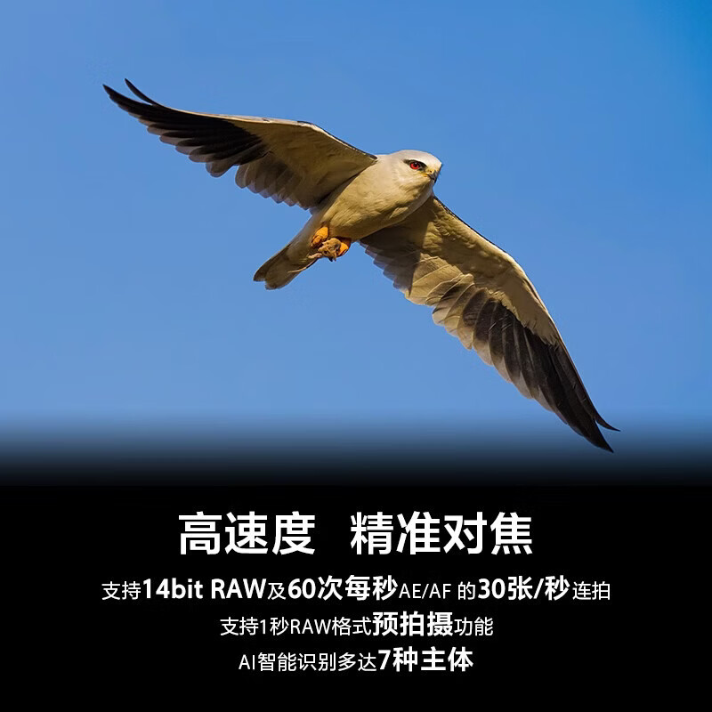 Sony (SONY) Alpha 7 V single body + 200600G telephoto bird shooting lens set