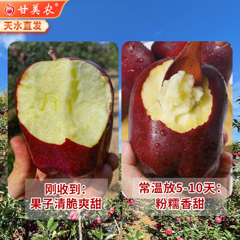 Ganmenong Authentic Tianshui Huaniu Apple Black Diamond Apple Snake Red Fruit Gift Box Crispy Sweet Noodle Food Supplement SF Optional 8.5 catties Medium Fruit 19-21 (Single Fruit 200g+)