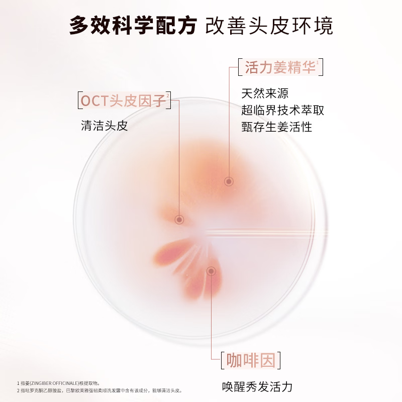 L'Oreal Vibrant Ginger Conditioner Strengthening Hair Conditioner Fluffy Hair Conditioner for Men and Women 660ml