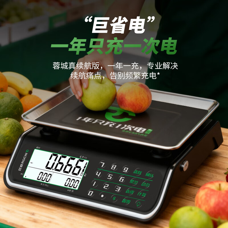 Rongcheng ROCHI commercial electronic pricing scale 30KG counting electronic vegetable weighing, fruit and vegetable selling special precision gram kitchen food scale