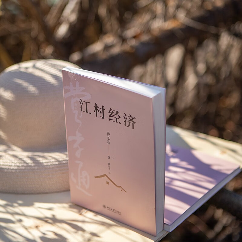 Jiangcun Economy Companion to Fei Xiaotong’s Sociology Classic Rural China The Life of Chinese Peasants