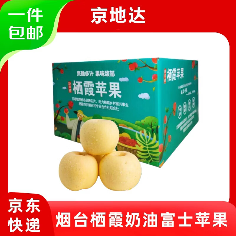 Jingdida Yantai Qixia apple cream Fuji apple 25 years new fruit 80 grade 5 pounds Yantai apple fruit straight from the source