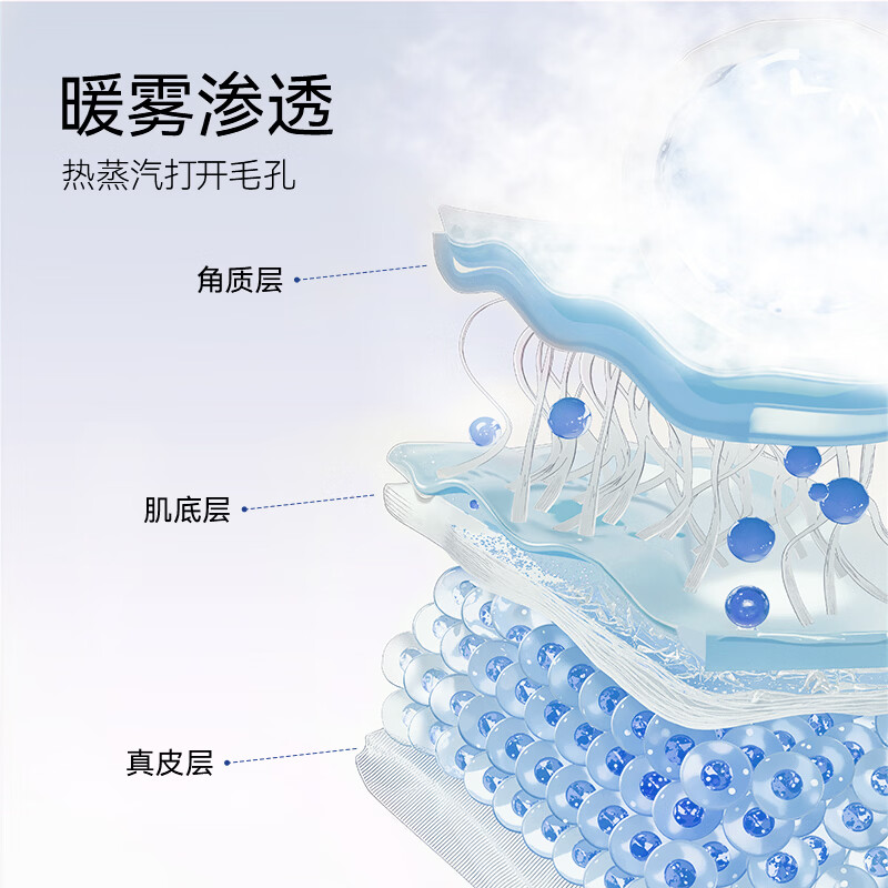 AUX Facial Steamer Beauty Instrument Hot Jet Facial Steamer Oxygen Injector Facial Spray Hydrating Open Pores Home Facial Mask Partner Birthday New Year Gift for Girl