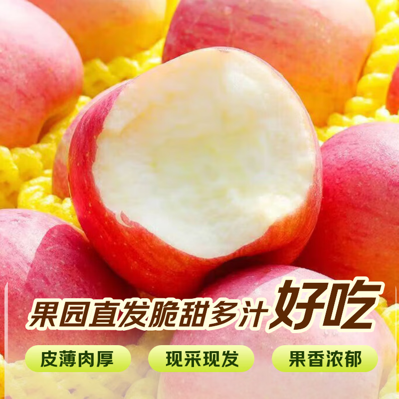 Dongdong Farm exclusively supplies Alpine Red Fuji Apple Orchard Straight Haired Ugly Apple with Thin Skin and Juicy New Fruit of the Season, 1 Jin in Box, Net Weight 0.7 Jin, 75mm