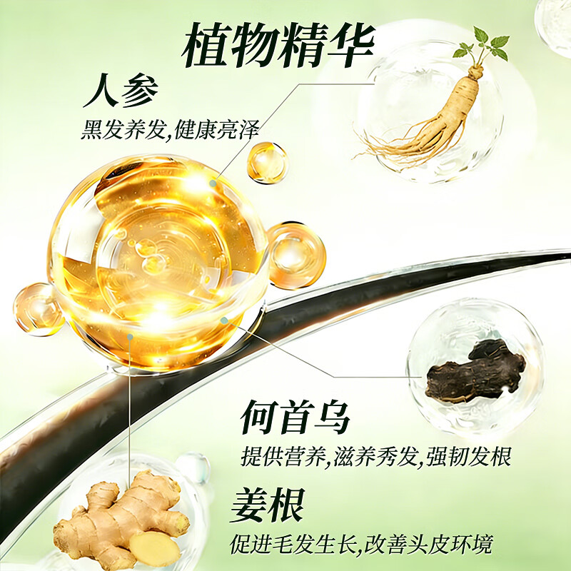 Tongrentang Pure Natural Plant Hair Dye Cream 100% Natural Black Bubble Hair Dye One Wash Black Cover White Baked Cream 505ml