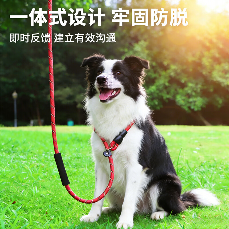 Cute star pet dog leash P chain anti-winding small, medium and large dog training explosion-proof rush 1.5 meters within 60 pounds