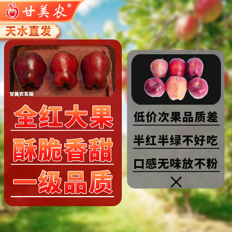 Ganmenong Authentic Tianshui Huaniu Apple Black Diamond Apple Snake Red Fruit Gift Box Crispy Sweet Noodle Food Supplement SF Optional 8.5 catties Medium Fruit 19-21 (Single Fruit 200g+)