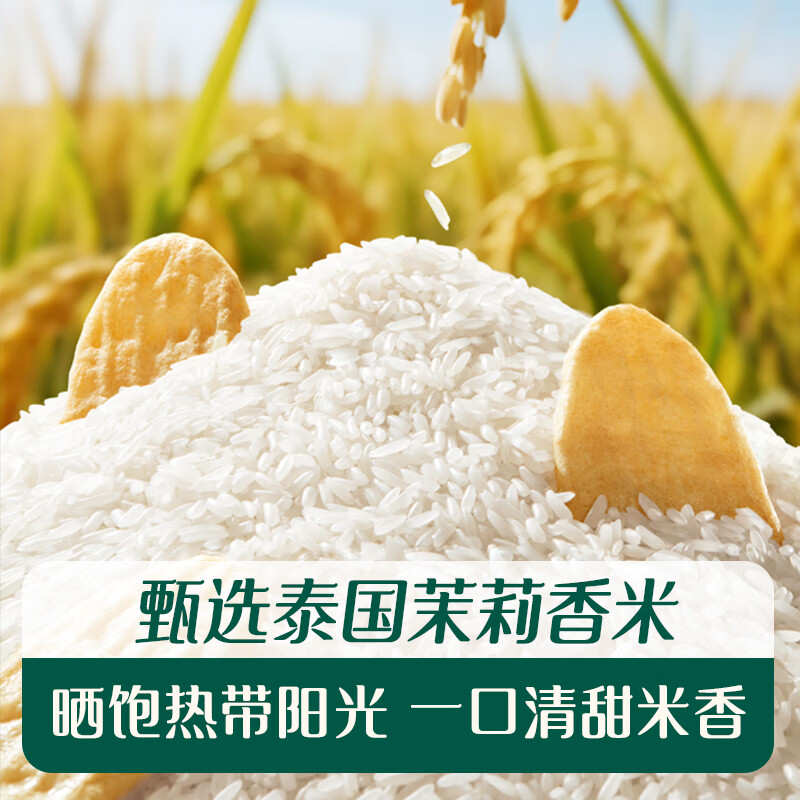 Engnice infant rice crackers original flavor baby snacks children's teething biscuit snacks 48g 6 months and above