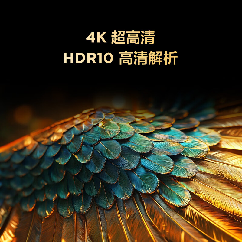 TCL Thunderbird TV Economic Model 55-inch Bird 4 144Hz High Brush 2+32GB Custom Remote Control Home Appliances State Subsidy TV 55F270C-JN