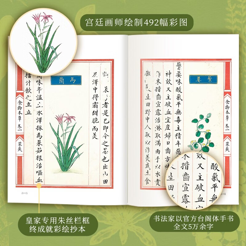 Food Materia Medica Dietary Atlas from the Ming Dynasty Royal Family