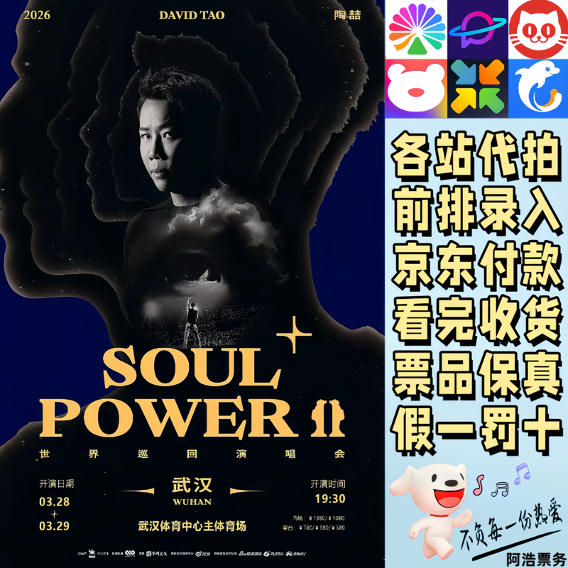 Tao Zhe concert tickets 2026 Tao Zhe Soul Power ll PIus World Tour Concert Wuhan Chongqing Tianjin Changsha Proxy for bidding and recording information 1280 Consultation before bidding Private bidding is invalid Non-original price