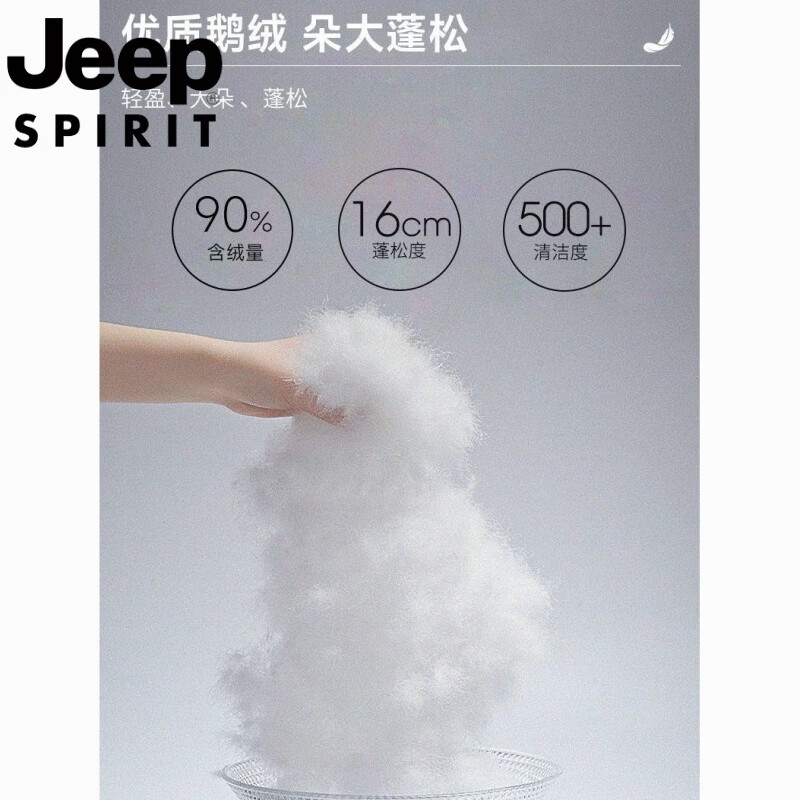 JEEP Jeep International Brand Men's Down Jacket Winter 2025 New Thick Warm Loose Hooded Casual Jacket Men's Down Jacket - Black M Recommended 95-110 catties