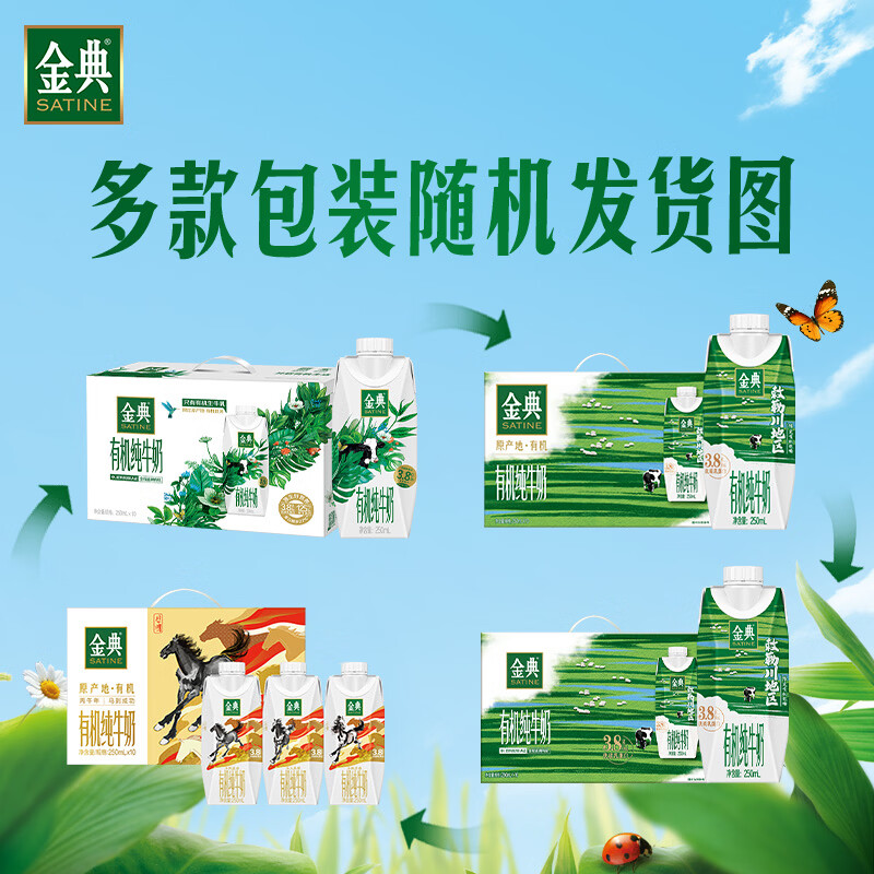 Yili Jindian 3.8g milk protein organic whole milk 250ml*10 boxes new and old packaging random new year gift box