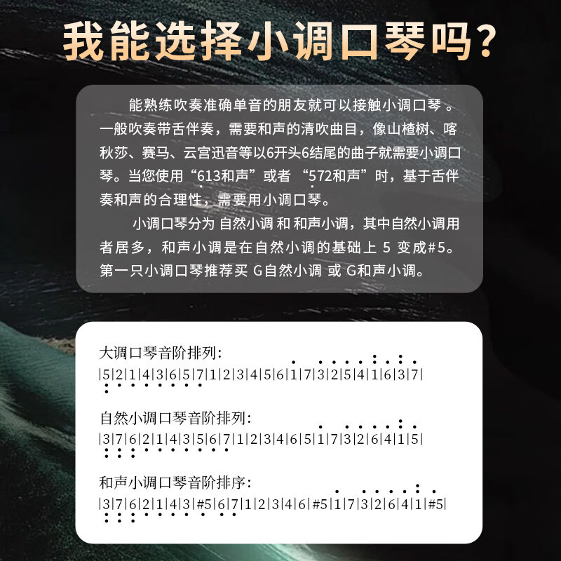 Dongfang Ding Slim Model T2406S 2.0 entry-level 24-hole polyphonic student beginner adult advanced professional performance harmonica polyphony #C key = bD key = flat d key, slim model