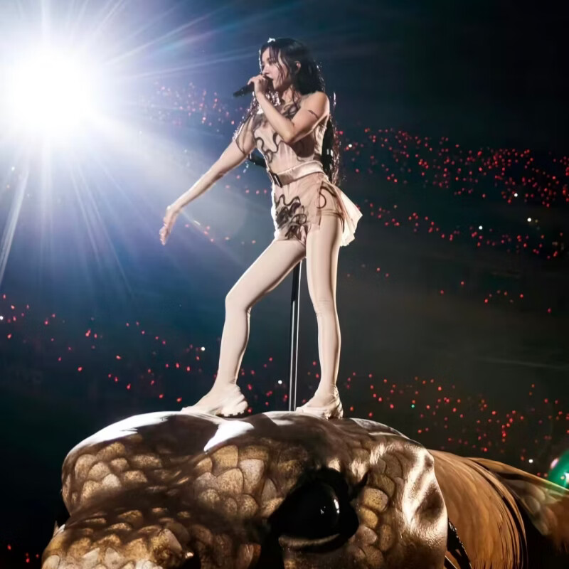 Shenzhen Jolin Tsai Concert Tickets Concert Snatching Ticket Proxy March 7, Saturday 19 00 Stand 790 Booths Auction not at original price Must-see product details Information required