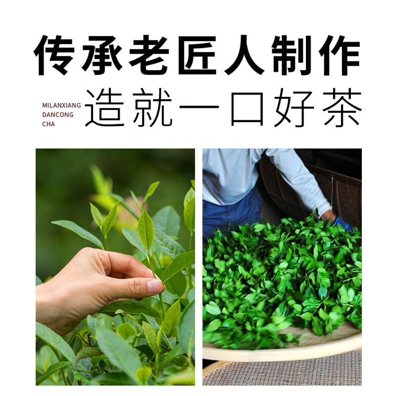 Zhengshanshan Oolong Tea Upper Can Phoenix Single Fir Honey Orchid Fragrance Special 50g Full Fire Canned Light Luxury Tasting Tea Cold Brew Tea