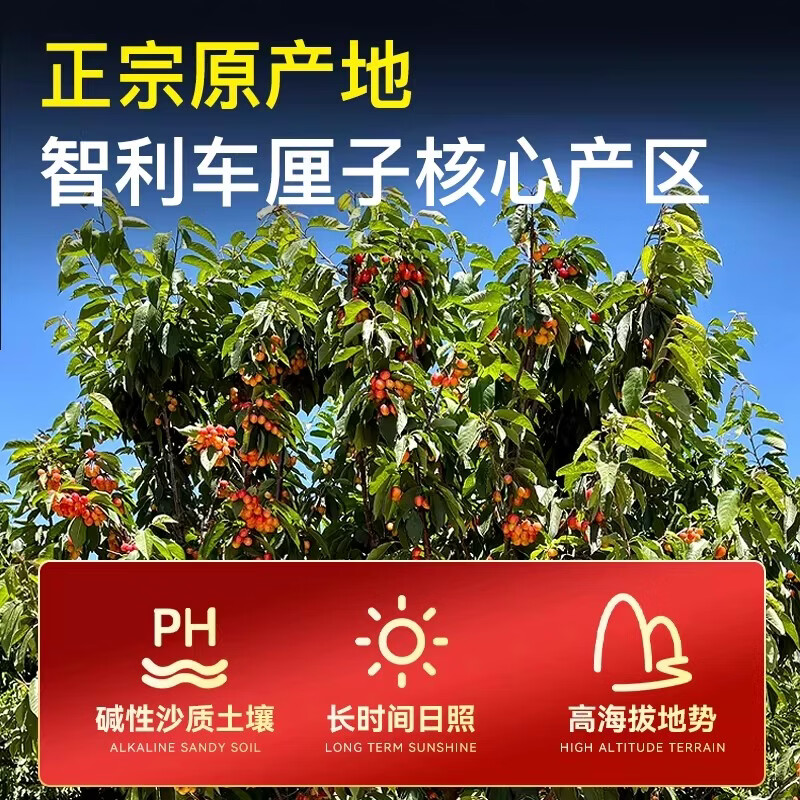 Huaxuan Rainier Golden Cherries 4J grade, next-day delivery to multiple places, large cherry New Year fruit gift box items 4 catties (net weight) Shangchao Fruit 2J grade 28-30mm selection
