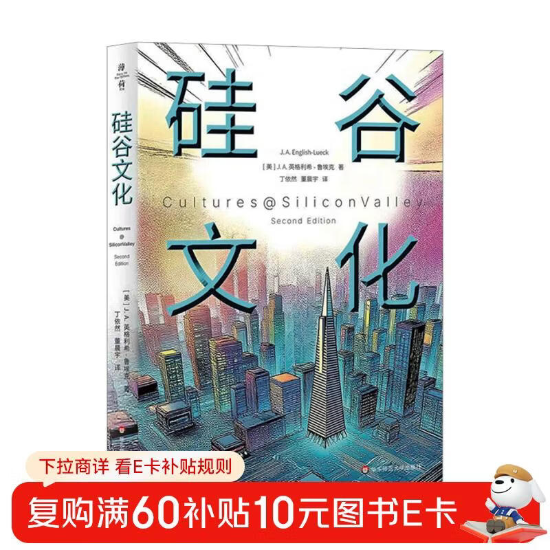 Silicon Valley Culture (Mint Experiment)