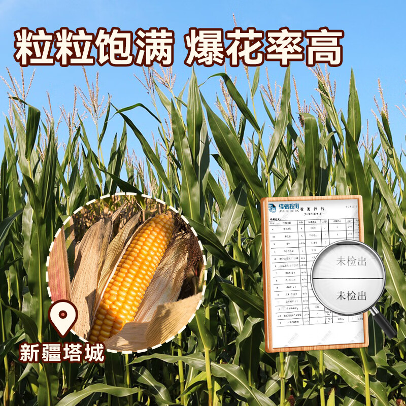 Zhanyi Caramel Flavored Three-in-One Corn Kernels 200g*5 Special for homemade popcorn raw materials spherical cream corn pops