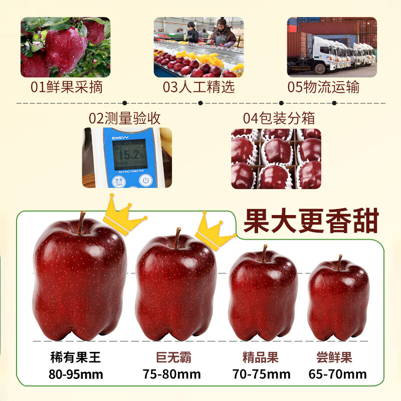 Mu Xiaoqi Fruits and Vegetables Gansu Tianshui Huaniu Noodles Apples Next Day Delivery to Multiple Places Snake Fruit Gift Box New Year’s Gift Box SS+ Grade Rare Fruit King (Single Fruit Approximately 80mm+) 10 Jin Pack Family Party-Best Deal Net 8 Jin