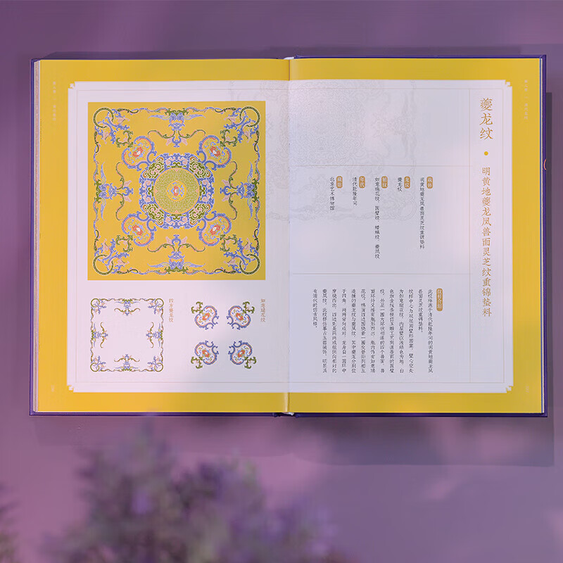 There are Dragons in China, edited by Gu Xiaosi and others, art design