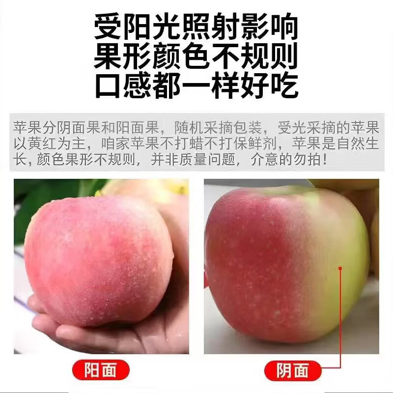 Xinjiang Aksu Rock Candy Heart Apple, Fresh Ugly Apple, Red Fuji Fresh Fruit, Gift Recommendation, 10kg in box, single fruit 75-86mm, net weight 8.5kg