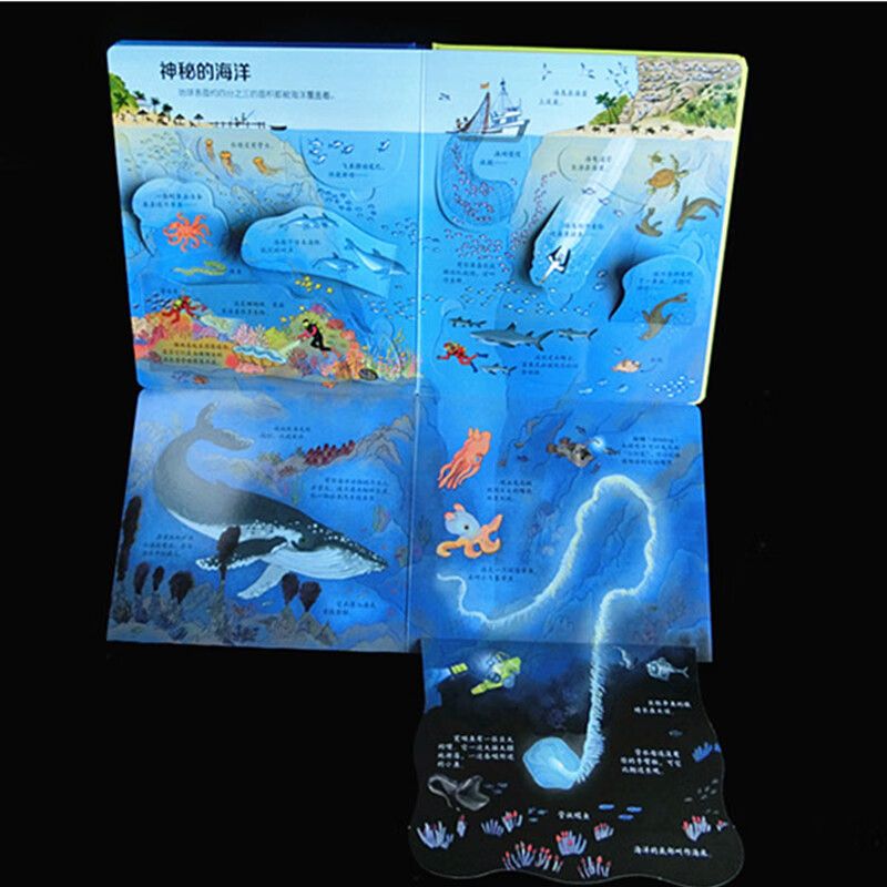 Usborne Look Inside (3-6 years old version) Revealing the World