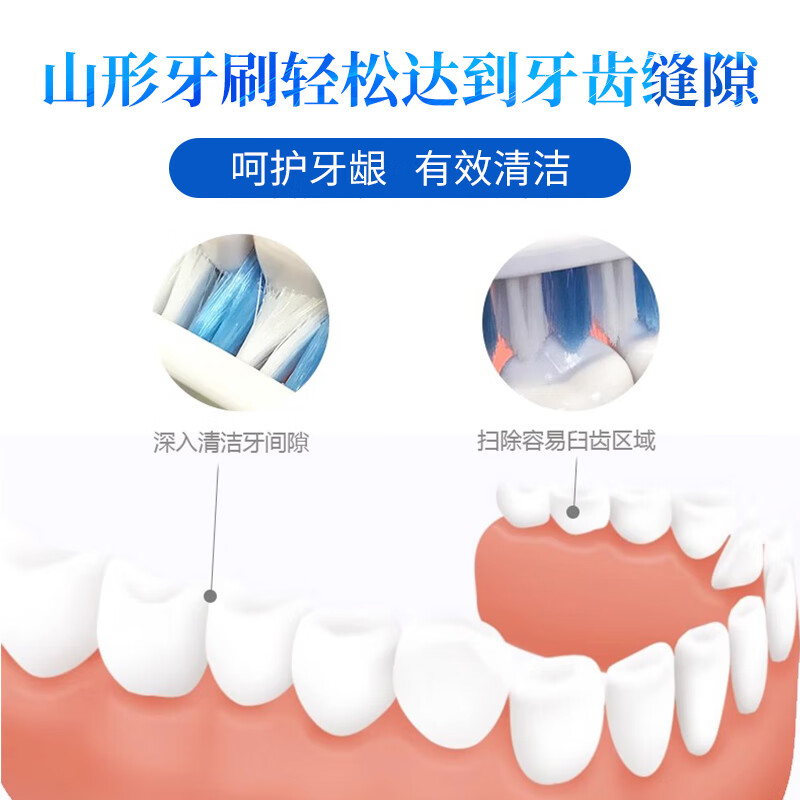 Lion adult toothbrush imported from Japan, small head, extremely fine and medium-bristle toothbrush, deep between teeth for deep cleaning of gums, 1 piece