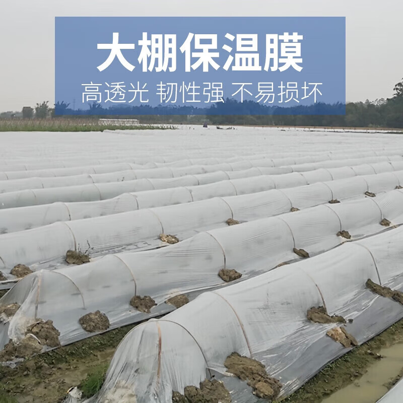 Transparent agricultural plastic film for growing vegetables, small shed film, mulching film, special film for greenhouse planting, plastic paper for heat preservation and cold protection, 4S special film for small shed, 2 meters wide and 20 meters long