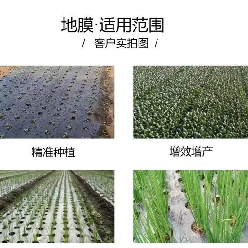Perforated mulch film for agricultural planting, special perforated mulch film for growing vegetables, strawberry sweet potato film, silver and black two-color perforated mulch film, 5 pounds black, 2 meters wide, 120 meters long, no holes