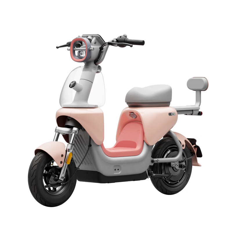 Ninebot New National Standard Electric Bicycle Qz1 60 Intelligent Transportation Ninebot Battery Bike Pickup in store Pick the color at the store