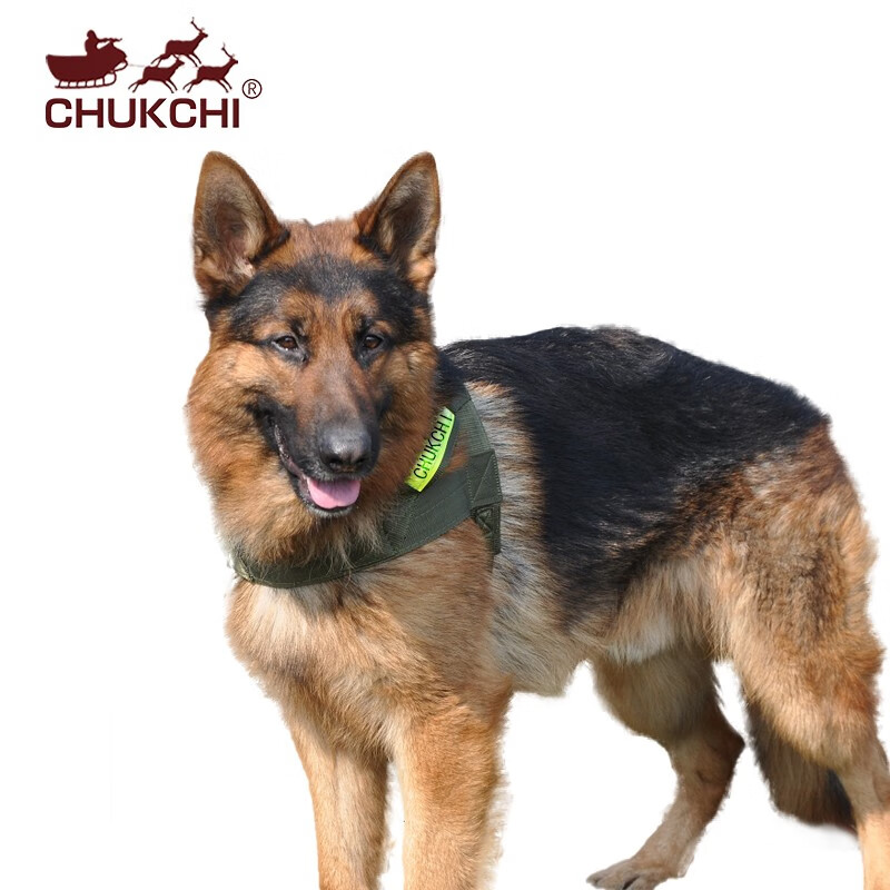 Chukchi (CHUKCHI) dog leash harness, medium and large dog chain, pet walking leash, German shepherd golden retriever, widened when going out, military green