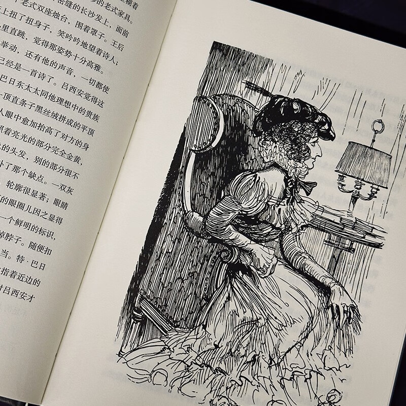 Disillusionment (Illustrated Collector's Edition) Novel