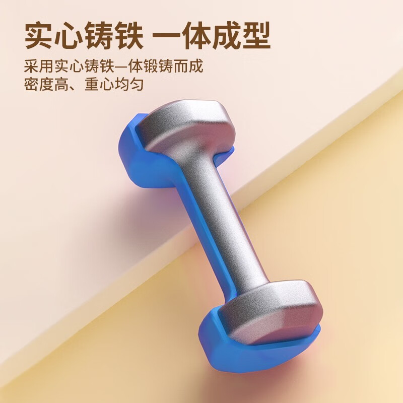 PROIRON impregnated pure iron dumbbells for men and women sports home gym equipment environmentally friendly and odorless set blue 5 pounds one pair