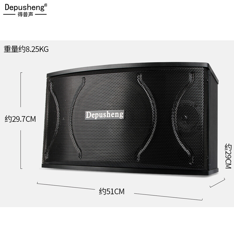 Depusheng professional KTV audio set home home K song karaoke conference performance stage speaker amplifier 10-inch KTV entertainment audio set