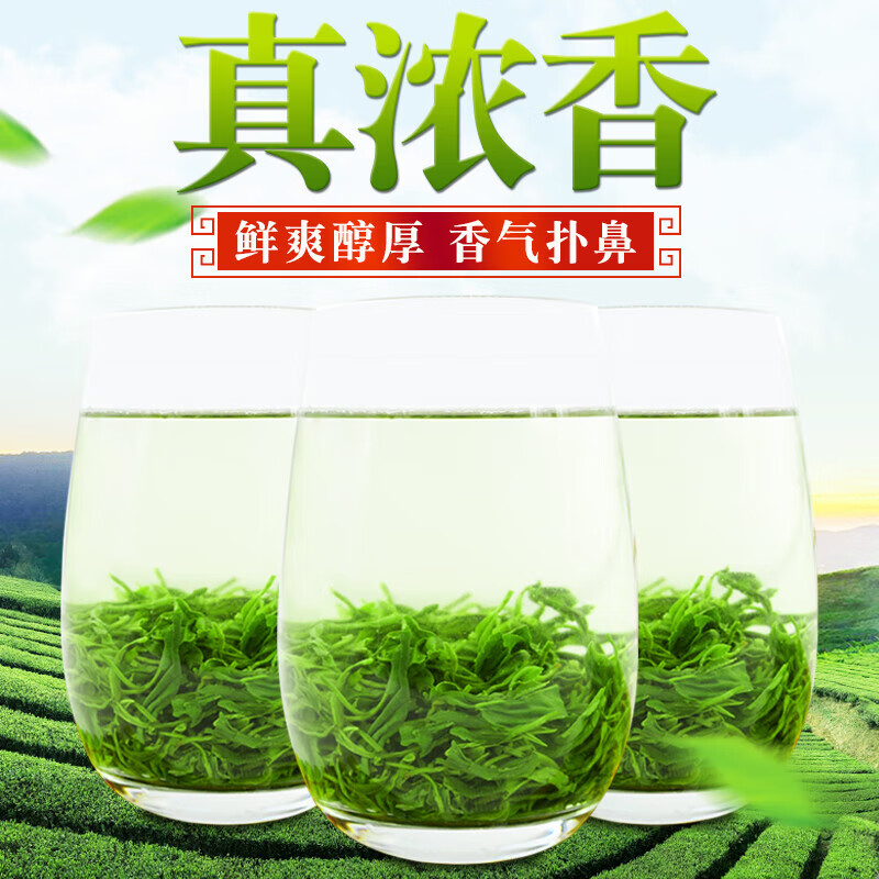 Send Yi a pound of high mountain cloud green tea Maojian 2023 new tea authentic early spring tea bulk extra strong flavor fried green 500g