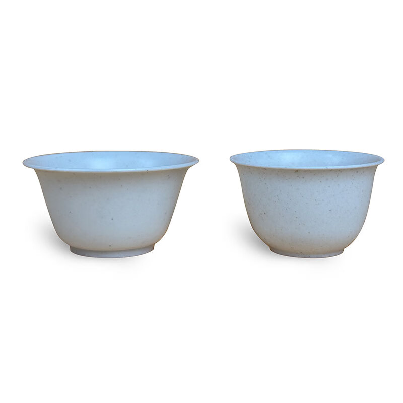Miaopule Disposable Rice Hull Kung Fu Tea Cup Outdoor Office Portable Storage Tea Set Set for Tea Making Rice Fragrance Cup Large Cup Rice Hull Tea Cup 80ml 10 Packs (500 pieces) + Large Bamboo Cover Cup Holder
