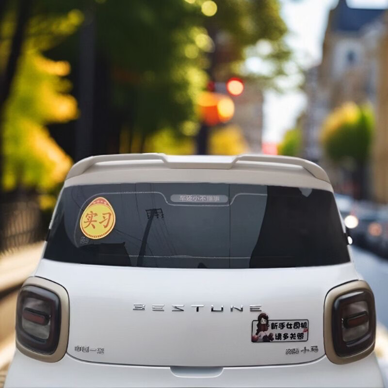 Litian is suitable for installing top wing modification without distortion on 24 new models of pony modified cars. The blank needs to be polished.