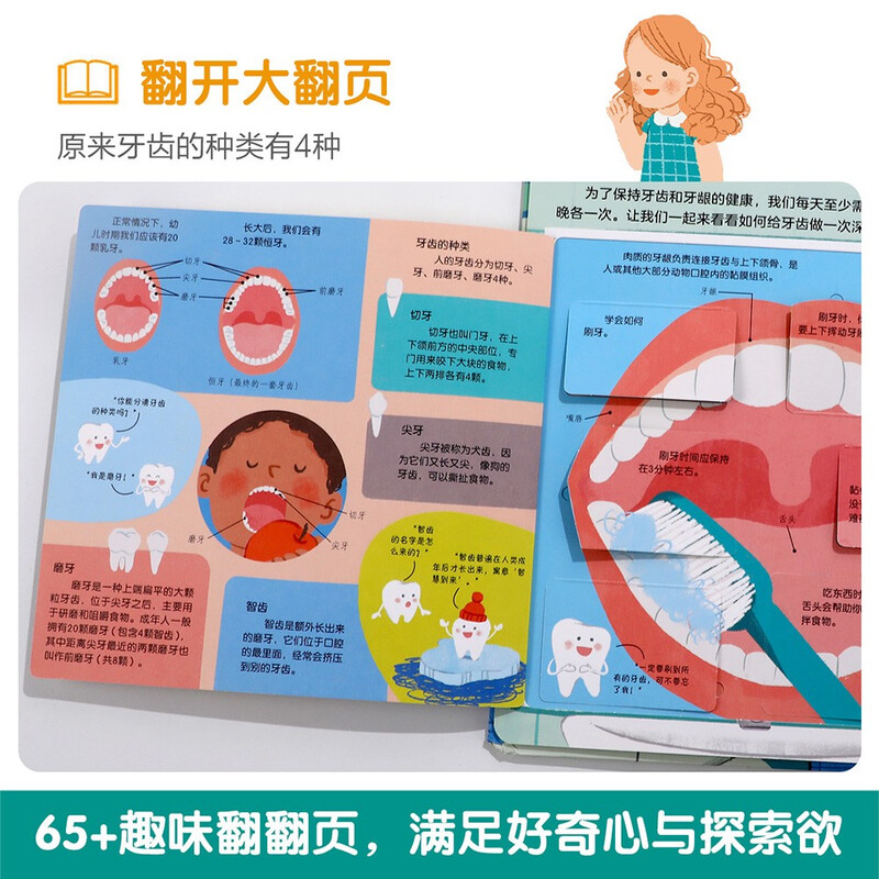 18 yuan off for orders over 87. Revealing the secrets of dental health (revealing the secrets of young children's version of the flip book for 3-6 years old) popular science reading book for infants and children, children's healthy growth habits, picture books, children's book festival, children's day