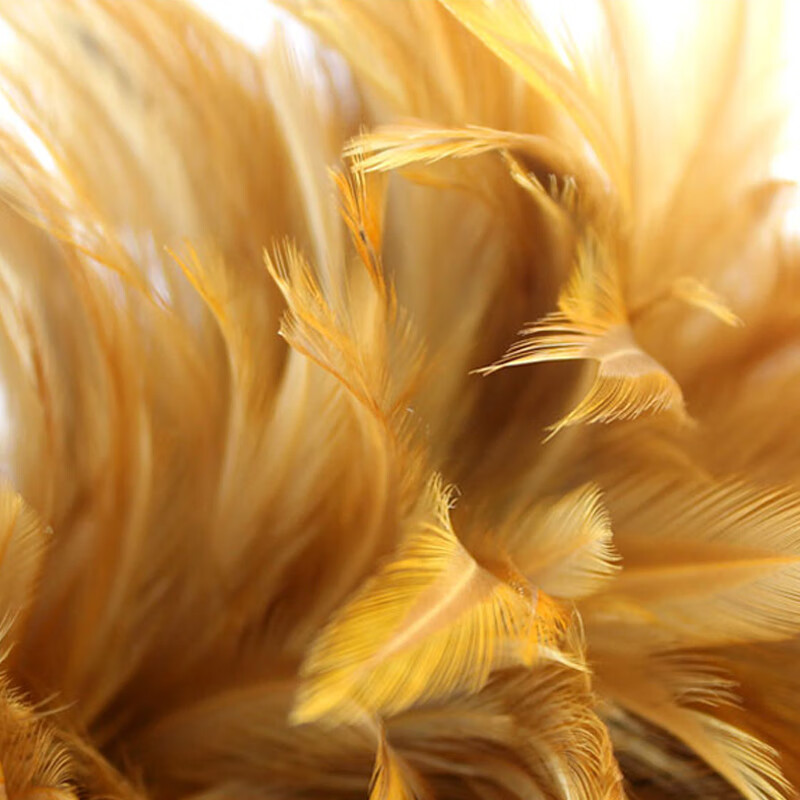 Bingyu BY-1254 Cleaning Feather Duster Stainless Steel Rod Dust Duster Dust Cleaning Tool 1