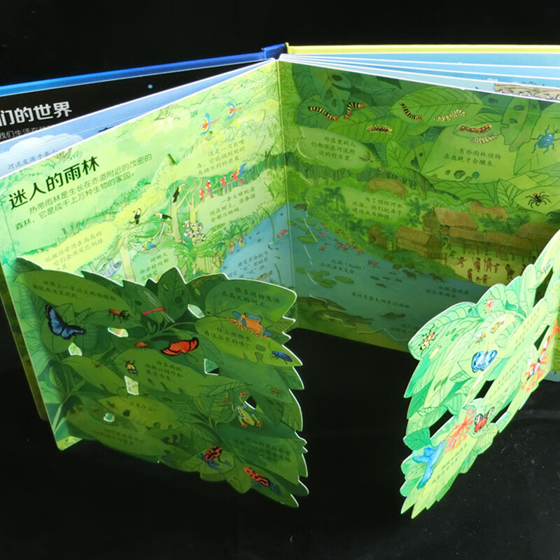 Usborne Look Inside (3-6 years old version) Revealing the World