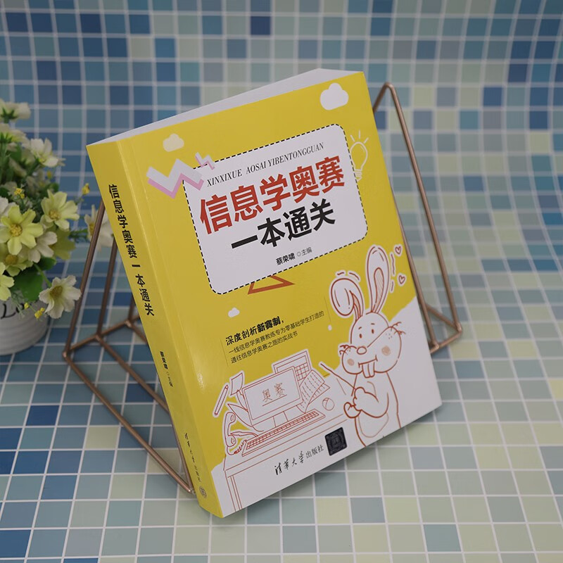 Informatics Olympiad in one book