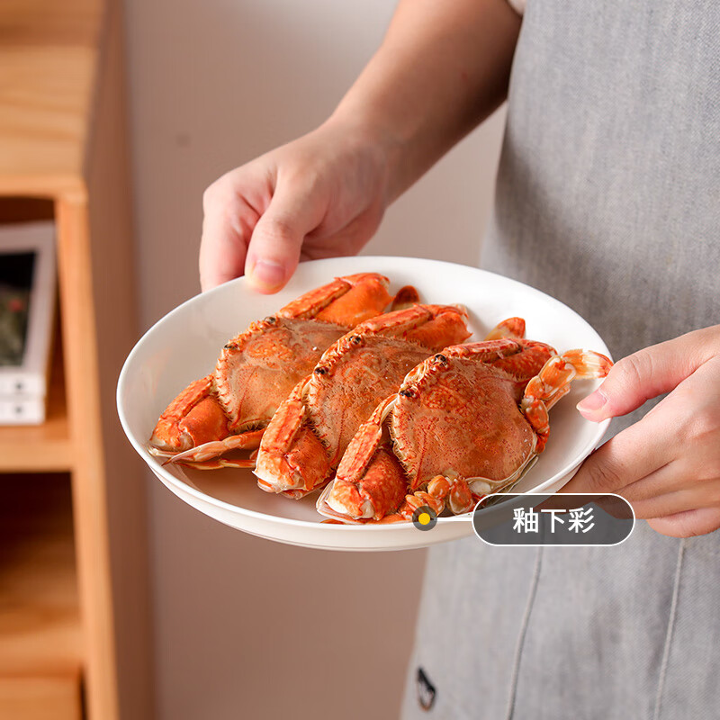 Jie Yajie ceramic plate household white porcelain plate 8 inches Chinese underglaze color dinner plate dish plate soup plate microwave available 6 pieces