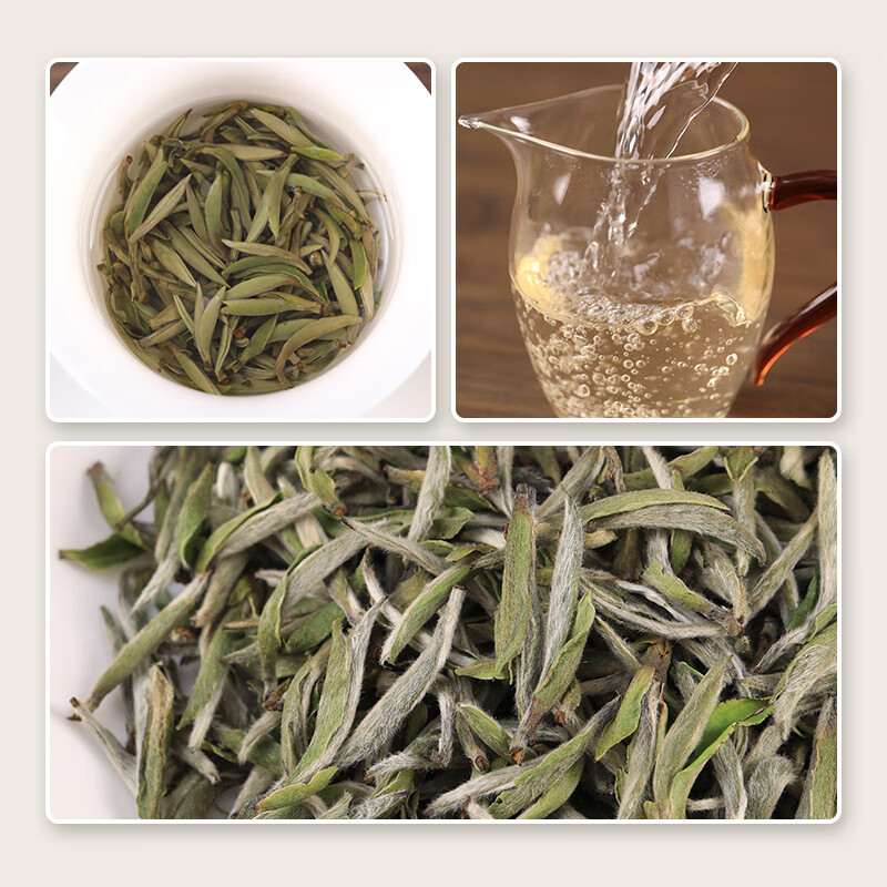 Huajingxing Fuding White Tea 2024 Wilderness First Picked Special Grade Silver Needle White Tea from Taimu Mountain Core Production Area New Tea Powder 2023 First Picked Special Grade Old Tree Silver Needle 50g (Wholesale 4250 Yuan
